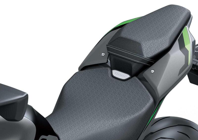 Kawasaki Z 900 Z 900 A2 (2025 - 26) (17)