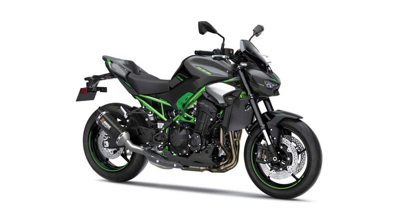 Kawasaki Z 900 Z 900 Performance (2025)