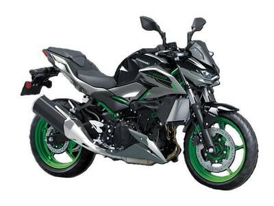 Kawasaki Z 500 SE (2024 - 26) nuova