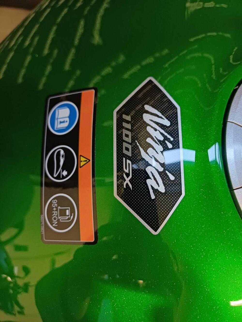 Kawasaki Ninja 1100 SX SE (2025 - 26) (11)