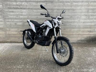 Betamotor Alp 4.0 (2024 - 25) usata