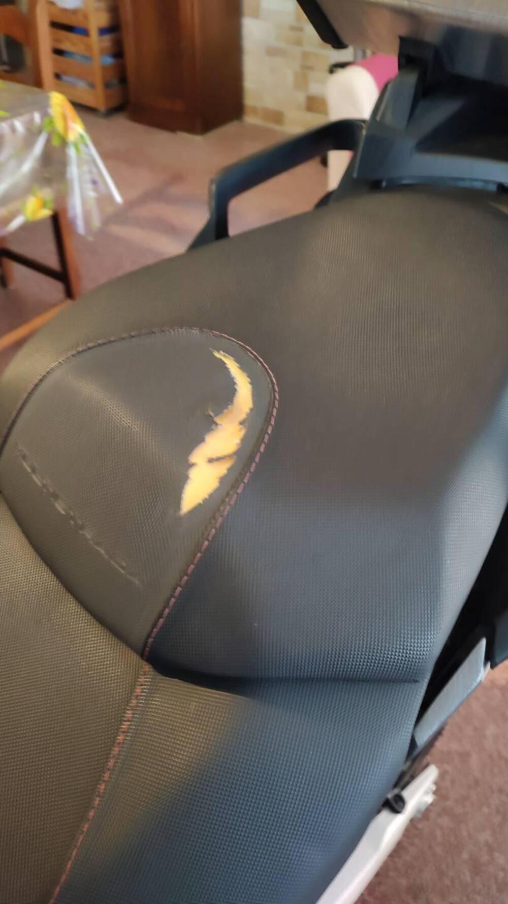 Ducati Multistrada 1260 Enduro (2019 - 21) (7)