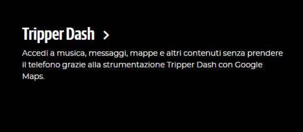 Royal Enfield Bear 650 (2025) (6)