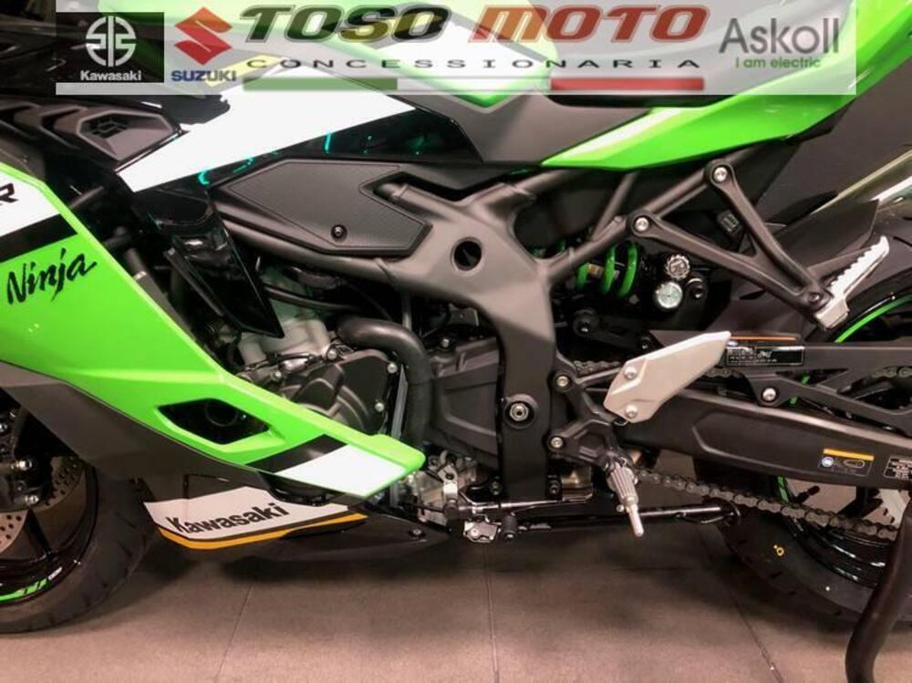 Kawasaki Ninja ZX-4RR (2024 - 26) (4)