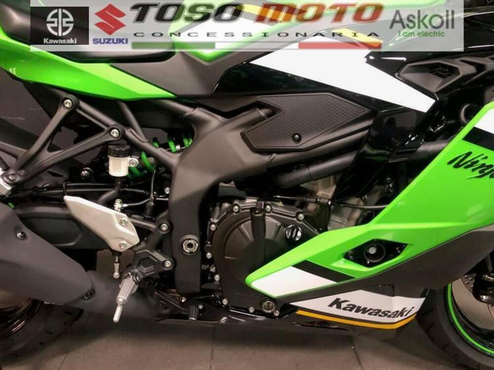 Kawasaki Ninja ZX-4RR (2024 - 26) (9)