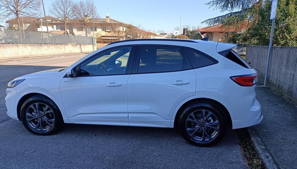 Ford Kuga usata a Udine