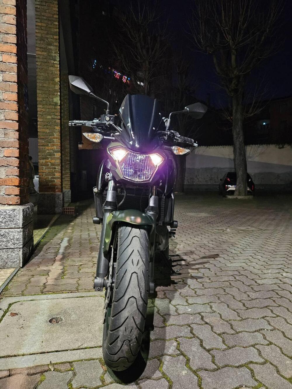 Kawasaki Z 650 (2017 - 19) (2)
