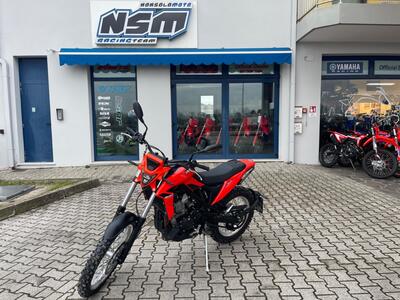 Betamotor Alp 4.0 (2024 - 25) usata