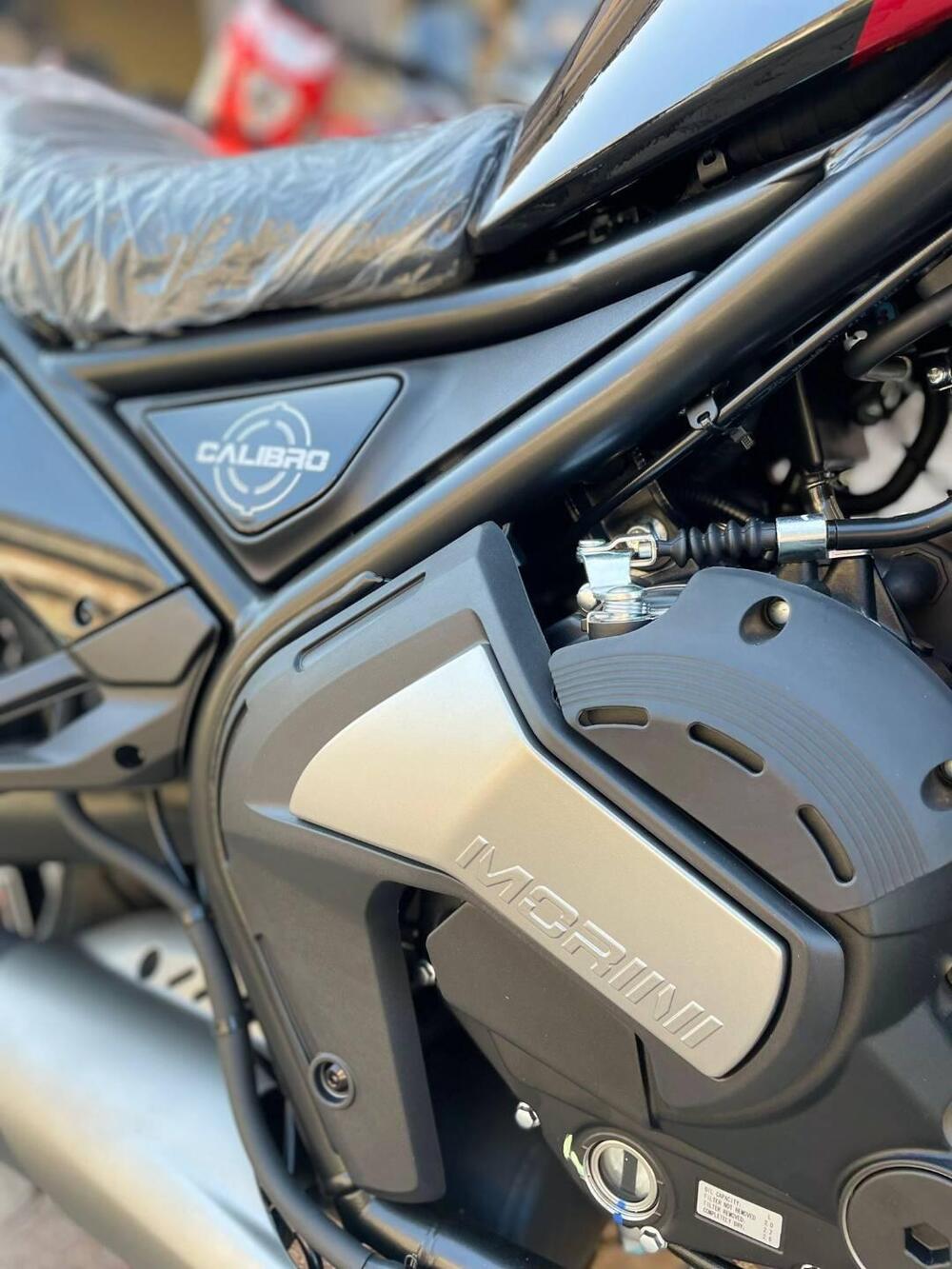 Moto Morini Calibro Custom (2024 - 25) (7)