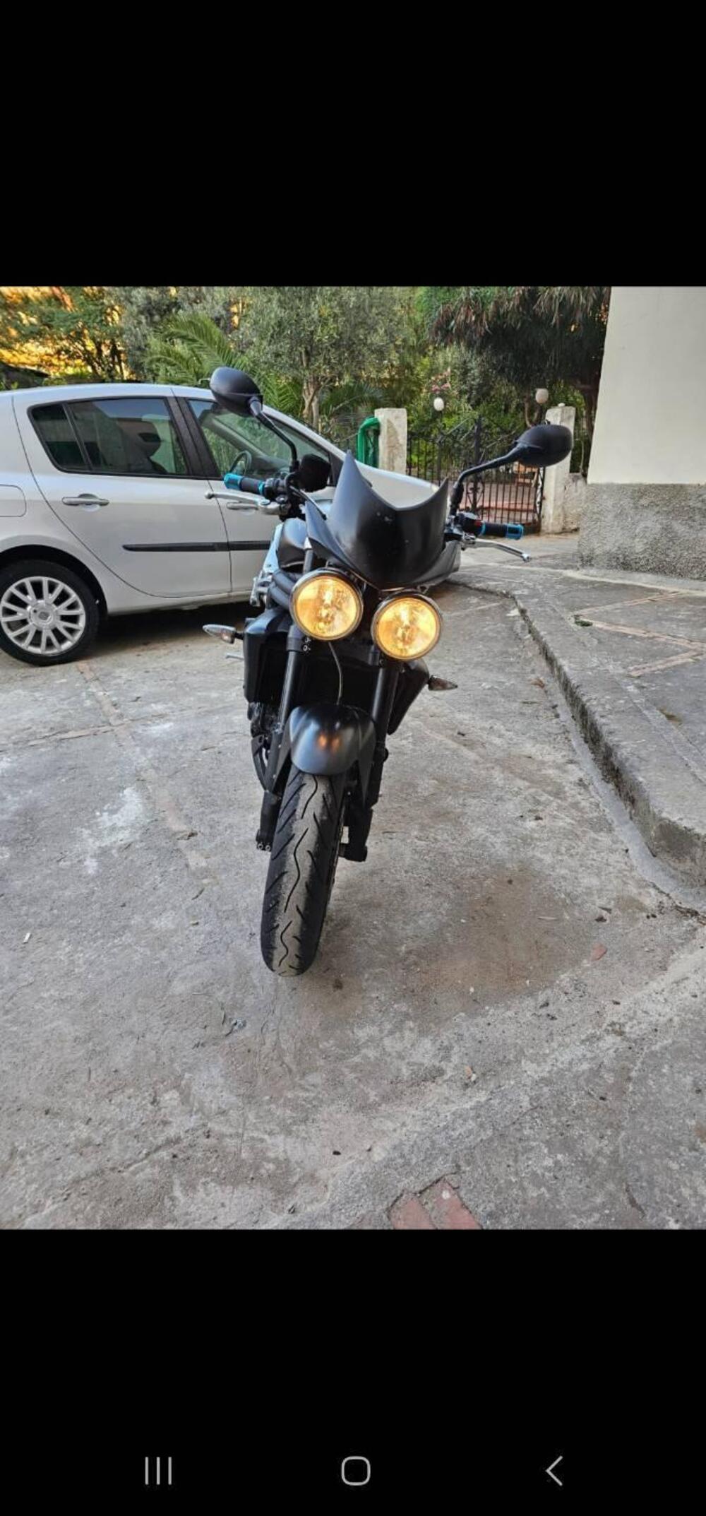 Triumph Speed Triple 1050 (2005 - 11) (6)