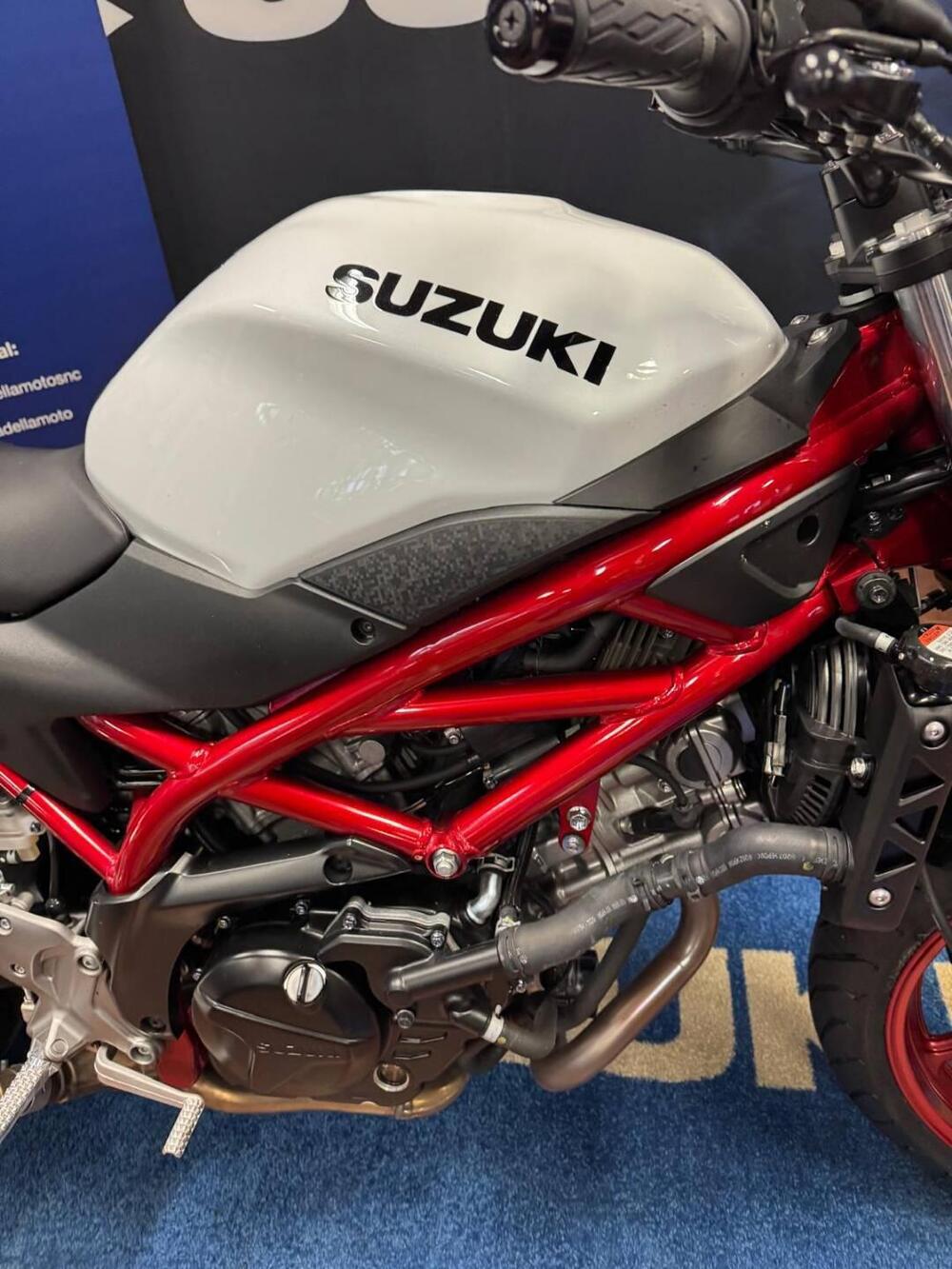 Suzuki SV650 (2021 - 24) (3)