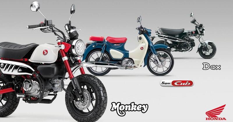 Nuovi colori e Euro 5+ per gli Honda Dax, Monkey e Super Cub C125