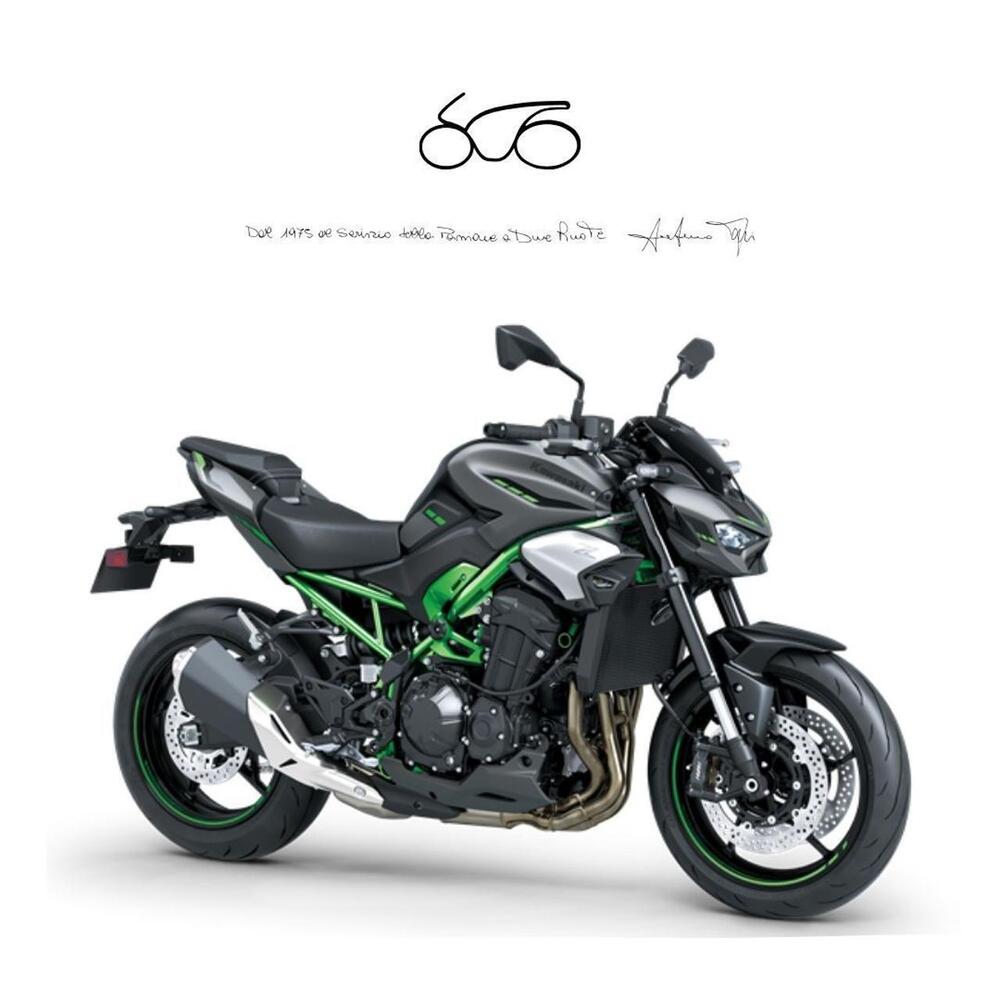 Kawasaki Z 900 A2 (2025 - 26)