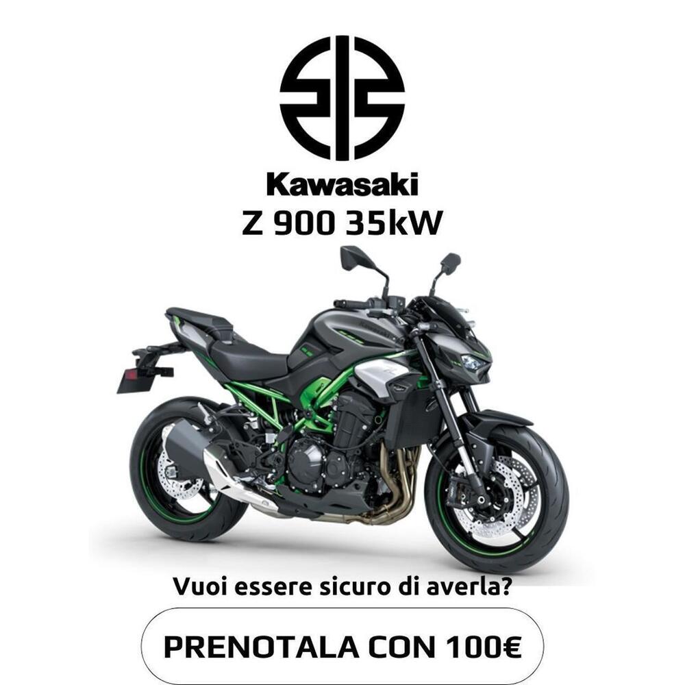 Kawasaki Z 900 A2 (2025 - 26) (2)