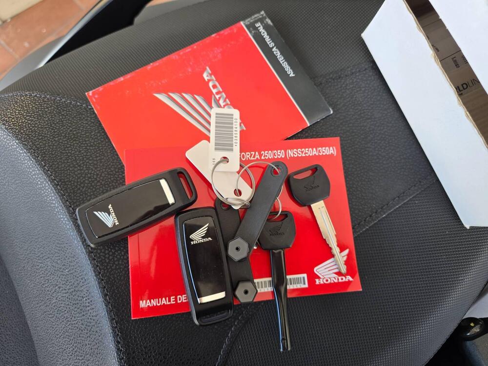 Honda Forza 350 Deluxe (2022 - 24) (14)