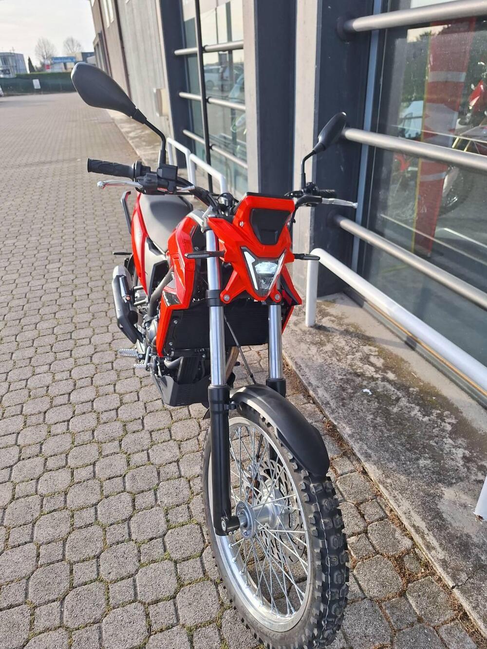 Betamotor Alp 4.0 (2024 - 26) (3)