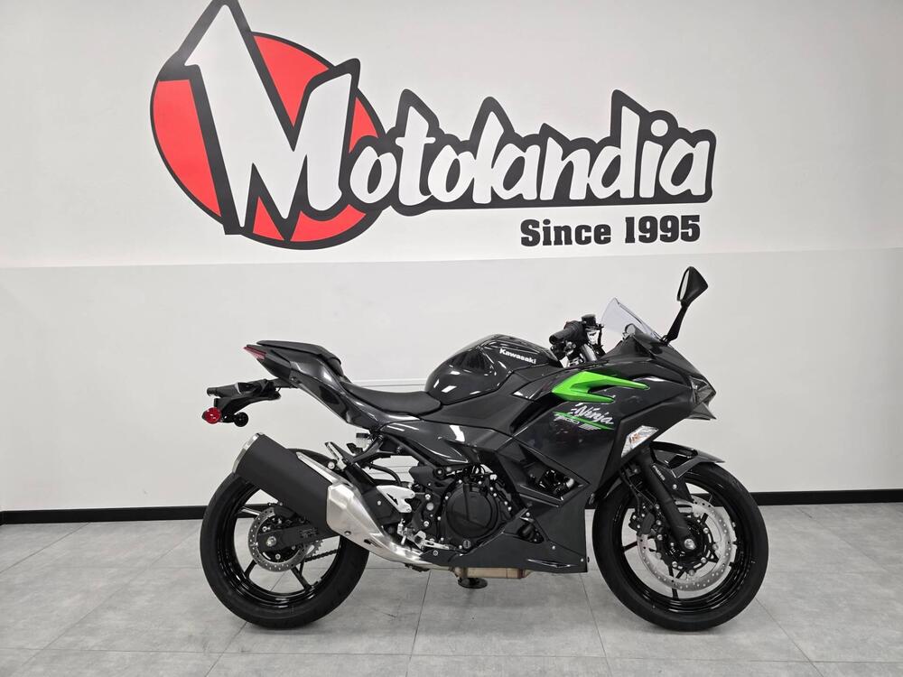 Kawasaki Ninja 500 (2024 - 26)