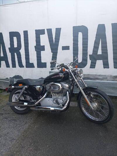Harley-Davidson 883 Custom (2008 - 12) - XL 883C usata