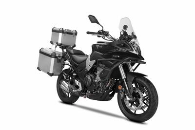 Voge Valico 500DS (2021 - 24) nuova