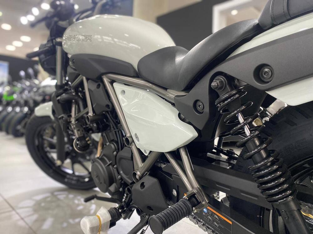 Kawasaki Eliminator 500 (2024 - 26) (9)