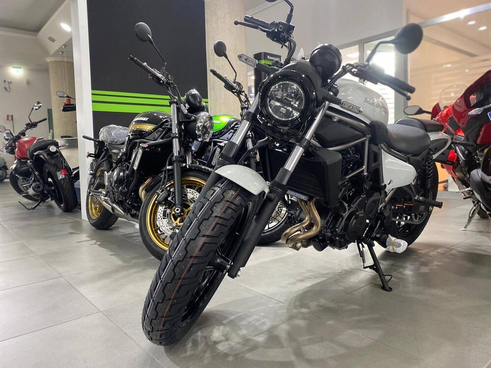 Kawasaki Eliminator 500 (2024 - 26) (4)