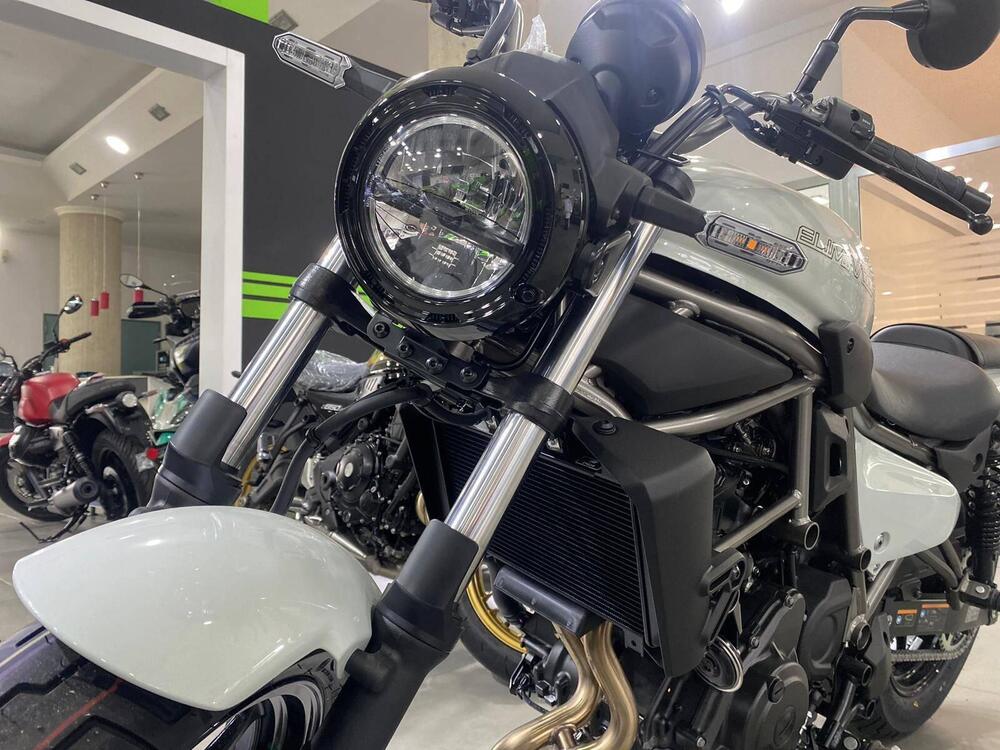 Kawasaki Eliminator 500 (2024 - 26) (8)