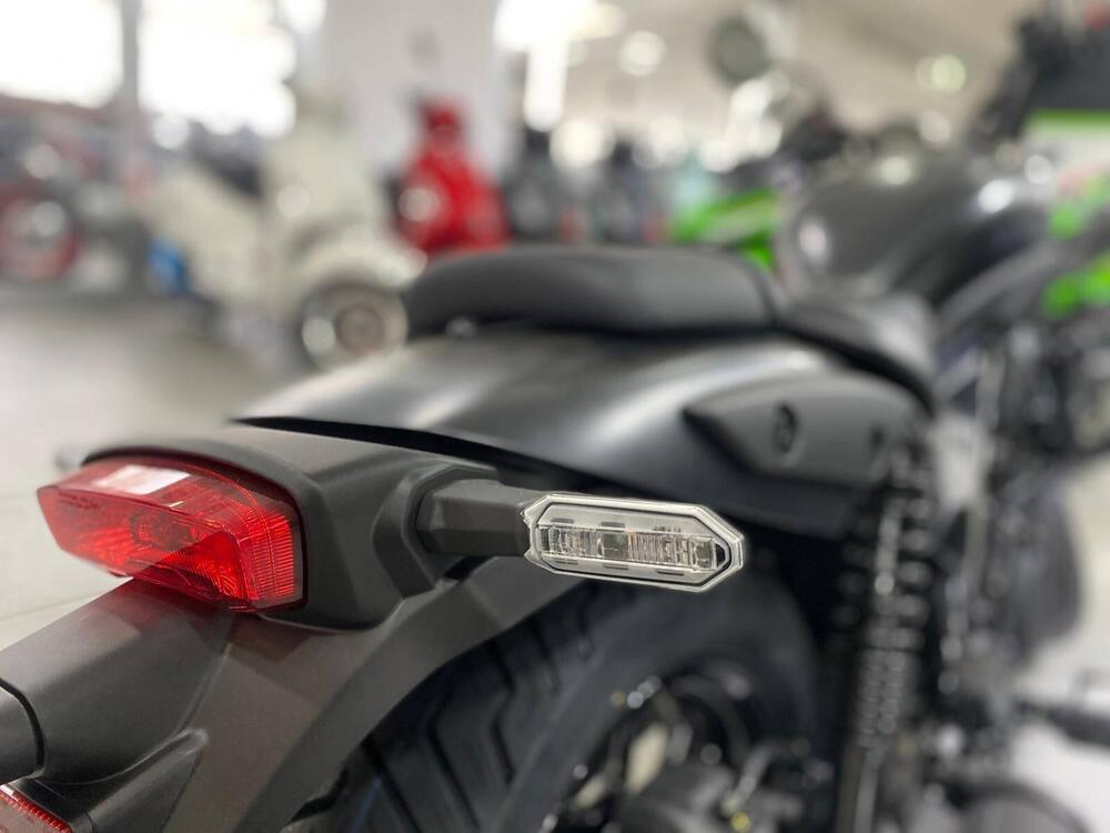 Kawasaki Eliminator 500 SE (2024 - 26) (8)