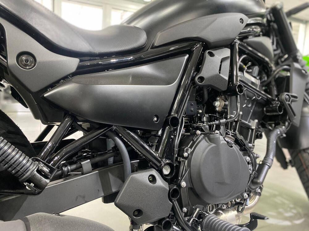 Kawasaki Eliminator 500 SE (2024 - 26) (7)