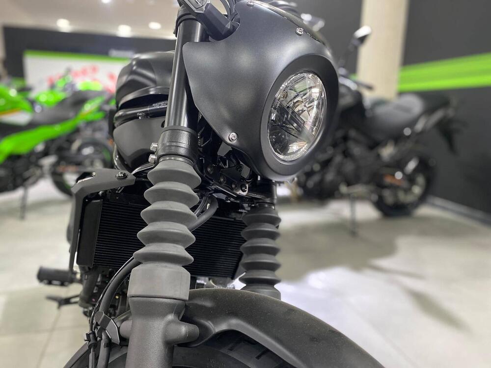 Kawasaki Eliminator 500 SE (2024 - 26) (5)