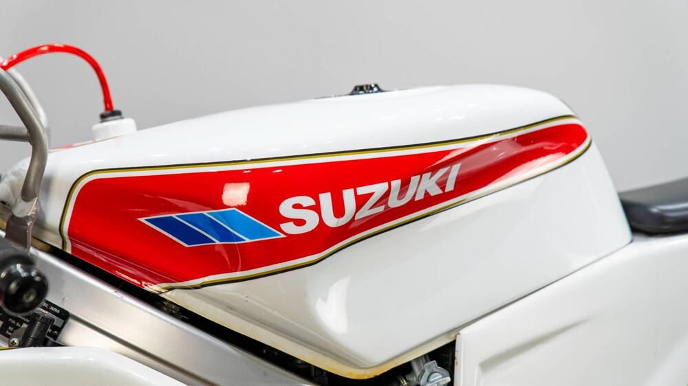 Suzuki RGV 250 (1989 - 97) (12)