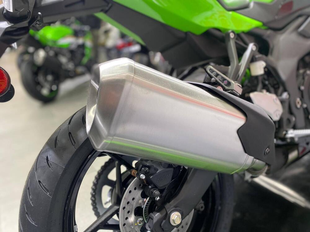 Kawasaki Ninja ZX-4RR (2024 - 26) (10)