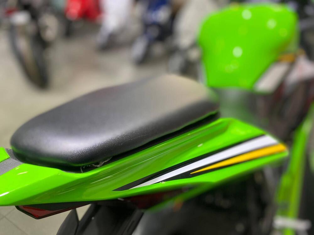 Kawasaki Ninja ZX-4RR (2024 - 26) (13)