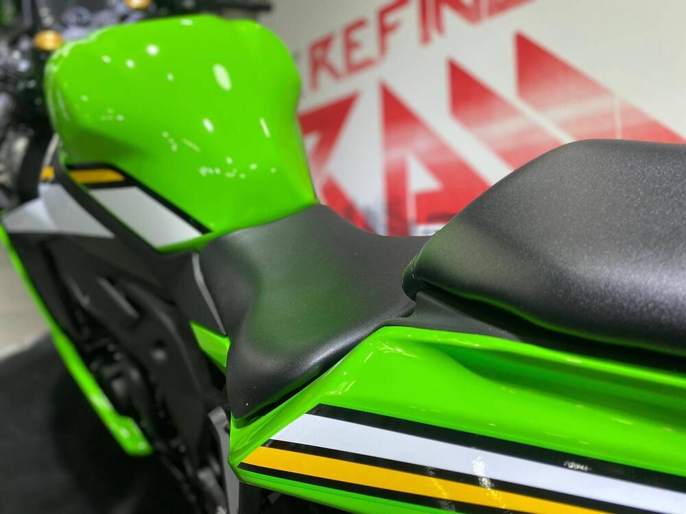 Kawasaki Ninja ZX-4RR (2024 - 26) (6)