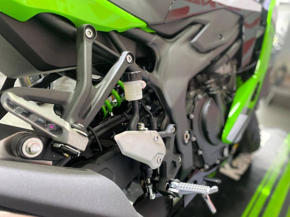 Kawasaki Ninja ZX-4RR (2024 - 26) (9)