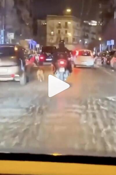 Uomo in scooter costringe il cane a correre al guinzaglio [VIDEO]