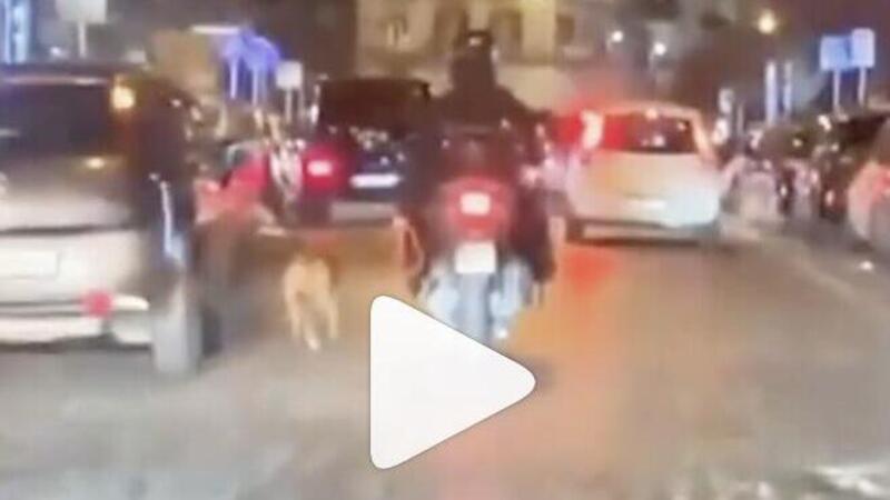 Uomo in scooter costringe il cane a correre al guinzaglio [VIDEO]