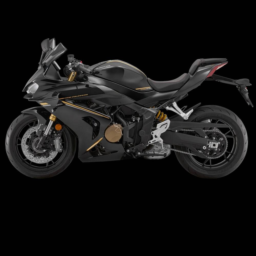 QJ Motor SRK 800 RR (2024) (2)