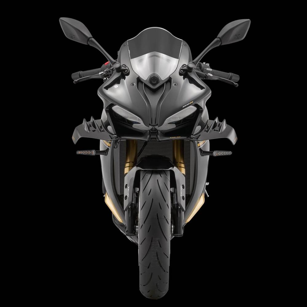 QJ Motor SRK 800 RR (2024) (6)