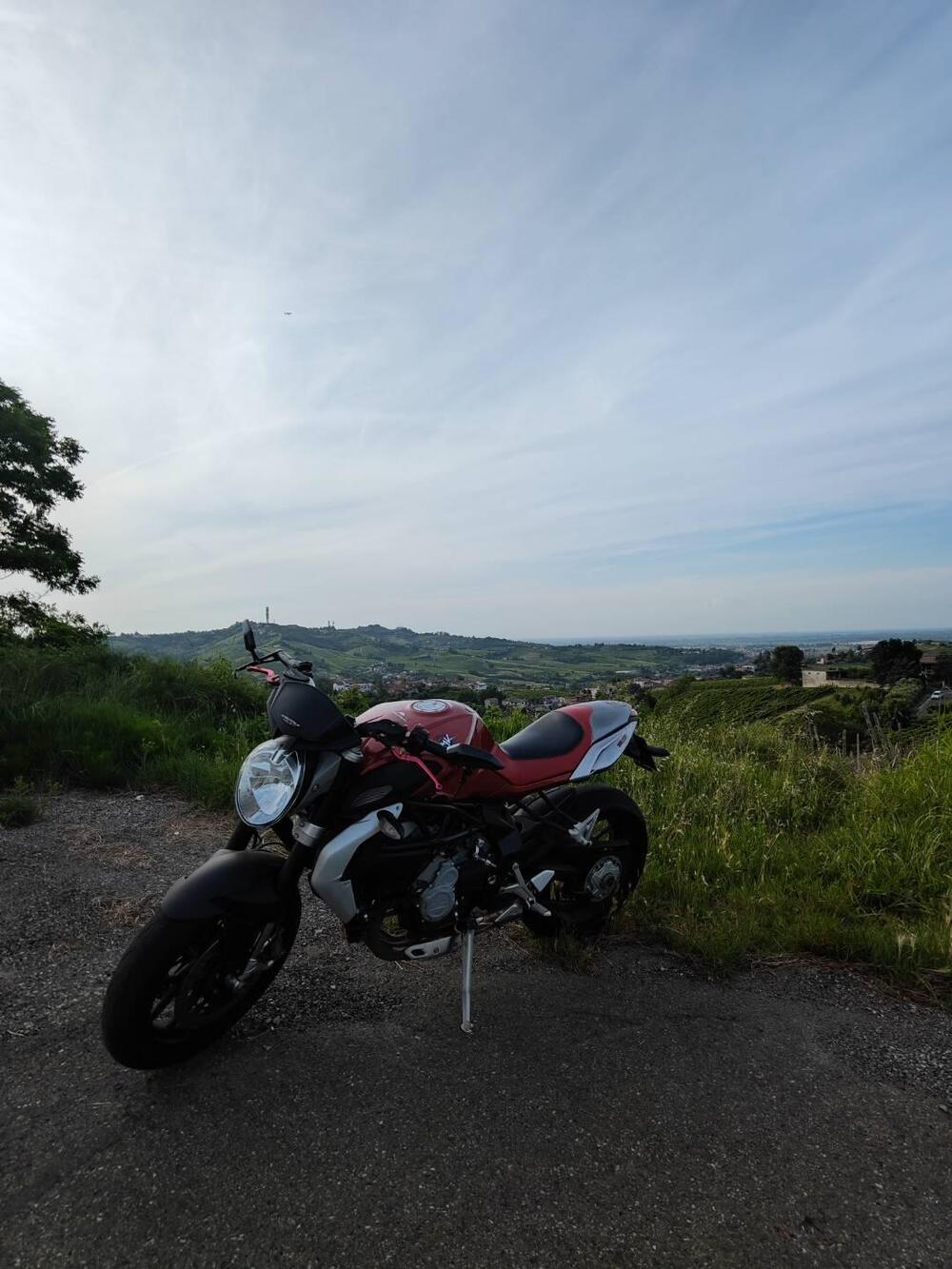 MV Agusta Brutale 800 EAS ABS (2012 - 15) (2)