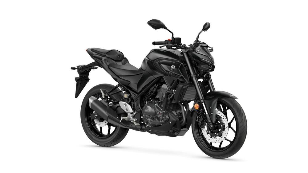 Yamaha MT-03 (2022 - 24) (9)