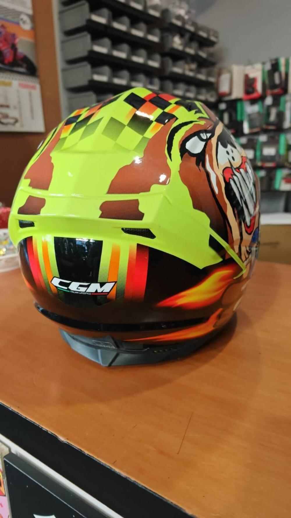 CASCO CGM neutron N2O (3)