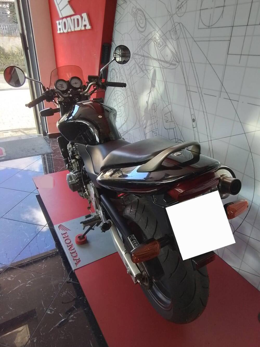 Honda Hornet 600 (2000 - 02) (13)