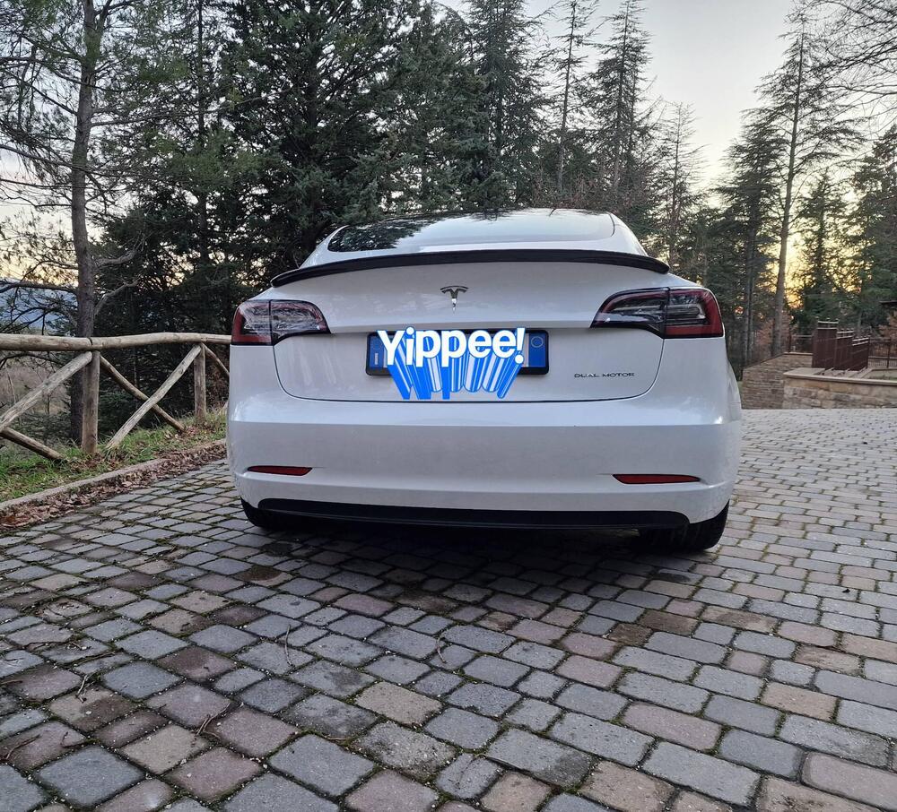 Tesla Model 3 usata a Pesaro-Urbino (5)