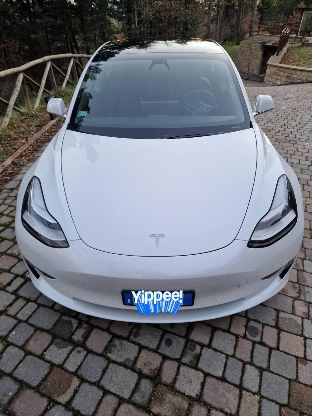 Tesla Model 3 usata a Pesaro-Urbino (9)