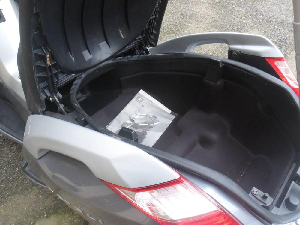 Peugeot Satelis 250 (2006 - 13) (7)