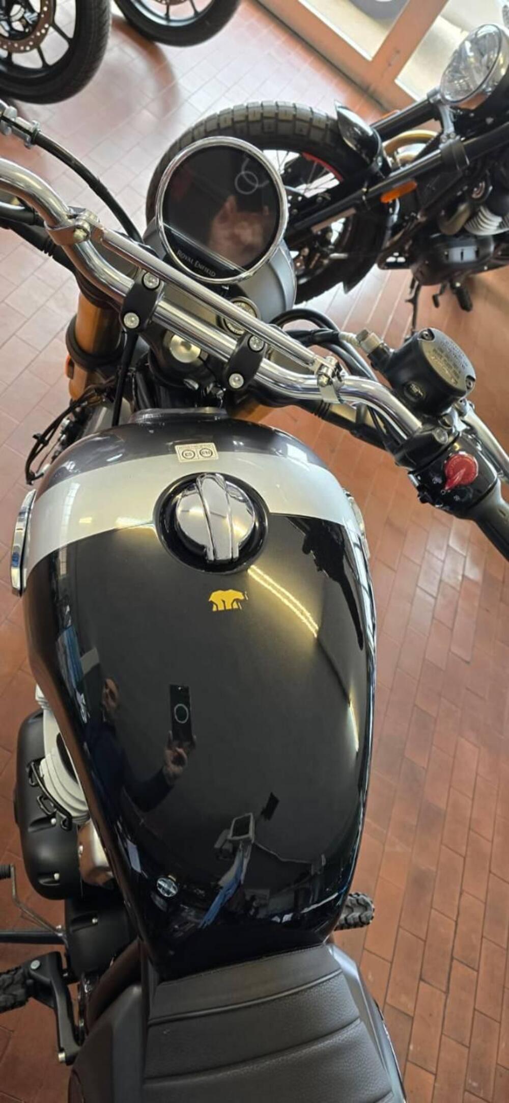 Royal Enfield Bear 650 (2025) (8)