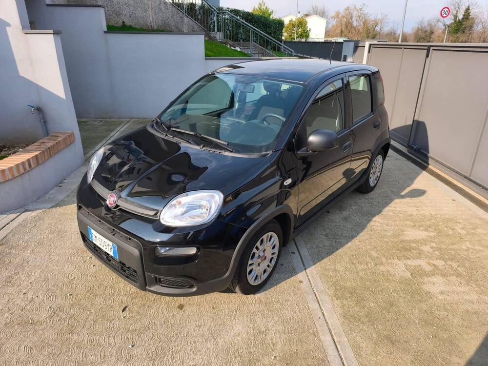 Fiat Panda usata a Udine