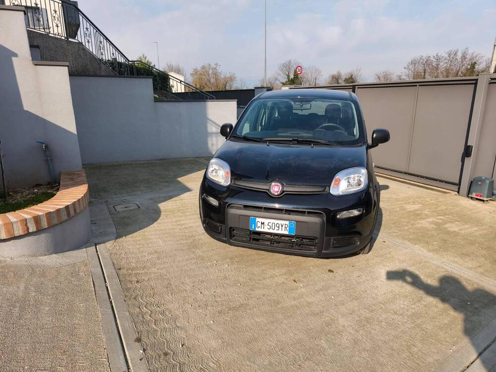 Fiat Panda usata a Udine (2)