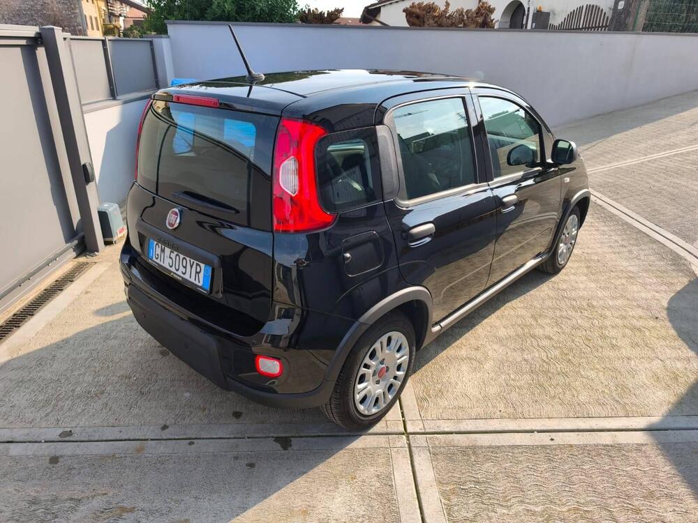 Fiat Panda usata a Udine (3)