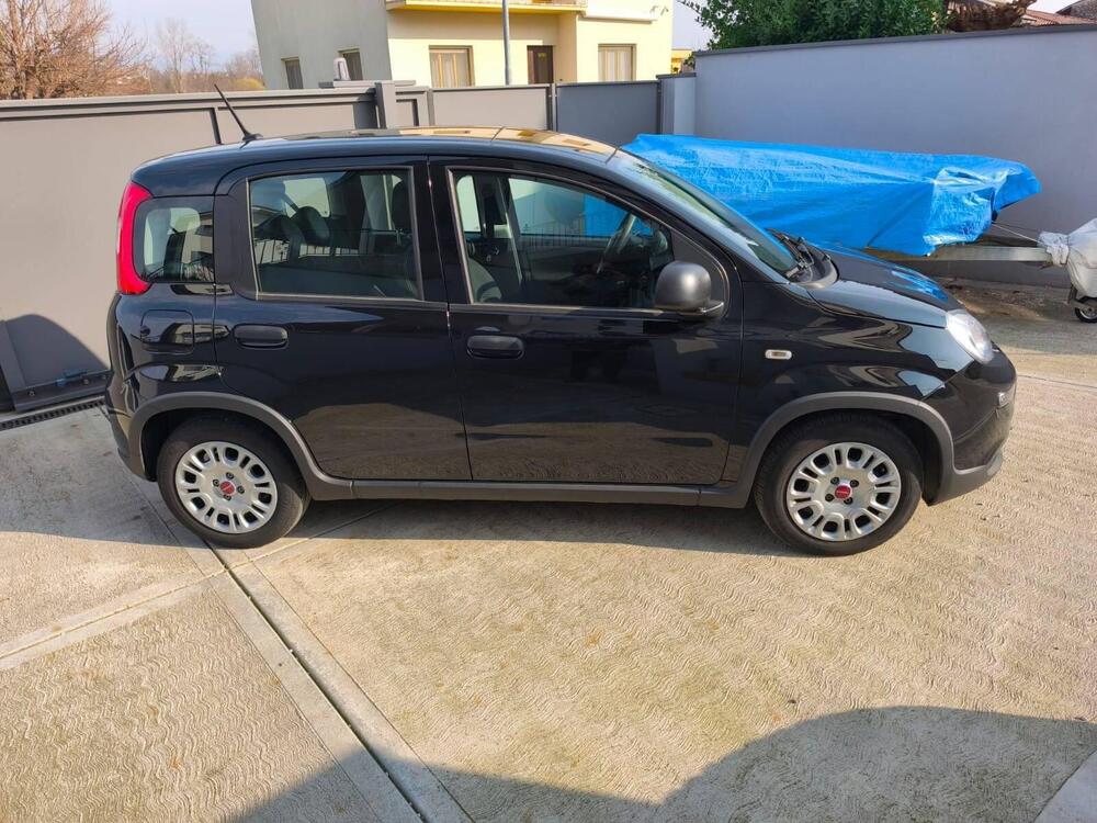 Fiat Panda usata a Udine (4)